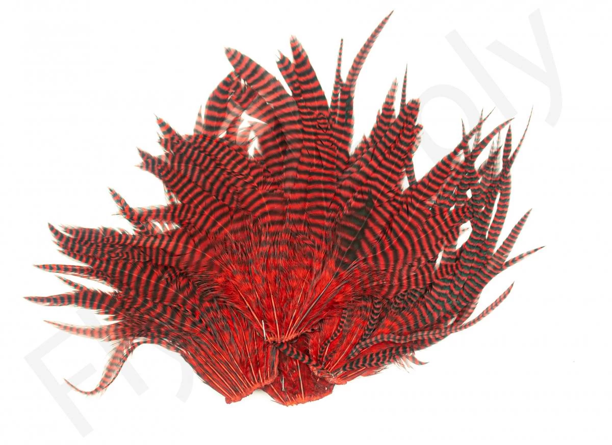 Streamer Saddle Patch Big 2 Streamer Saddle Patch Big - Image 2