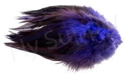Strung Saddle Hackle -Fishing Equipment Shop Strung saddle hackle 40 10XXX dsc01800 bewerkt wm