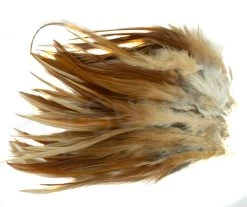 Strung Saddle Hackle -Fishing Equipment Shop Strung saddle hackle 40 10XXX natural brown