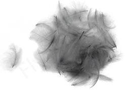 Swiss CDC Ultra Select XL Feathers -Fishing Equipment Shop Swiss CDC Ultra Select XL Feathers SWSCDCUSL X ultra violet 9