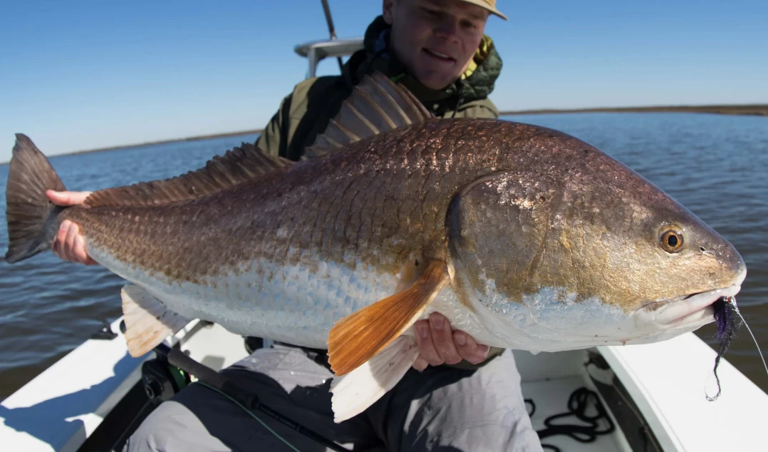 Thomas & Thomas Exocett SS Fly Rod 3 Thomas & Thomas Exocett SS Fly Rod - Image 3