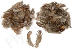 Tragopan Phesant Body Feathers 3gr