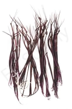 Veniard Cock Pheasant Hopper Legs -Fishing Equipment Shop Veniard Cock Pheasant Hopper Legs CPHL XXX Z dsc04972 1