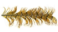 Veniard Cock Pheasant Single Knotted Tail -Fishing Equipment Shop Veniard Cock Pheasant Single Knotted Tail VENCPKNOT X natural