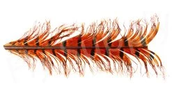 Veniard Cock Pheasant Single Knotted Tail -Fishing Equipment Shop Veniard Cock Pheasant Single Knotted Tail VENCPKNOT X orange