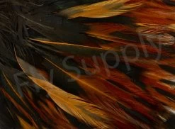 Whiting American Streamer Pack -Fishing Equipment Shop Whiting American Streamer Pack WHITSTRPK X brown close