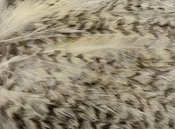 Whiting American Streamer Pack -Fishing Equipment Shop Whiting American Streamer Pack WHITSTRPK X grizzly natural close