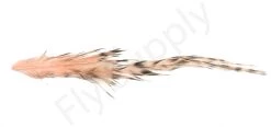Whiting Bird Fur Feathers -Fishing Equipment Shop Whiting Bird Fur Feathers WH61842 XXX dsc02531 bewerkt