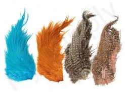 Whiting Bird Fur Feathers