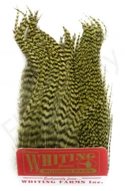 Whiting Bugger Pack 23 Whiting Bugger Pack -Fishing Equipment Shop Whiting Bugger Pack WH91871 XXX dsc08093 bewerkt