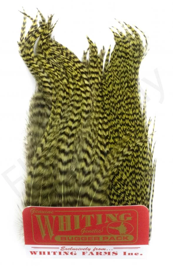 Whiting Bugger Pack 7 Whiting Bugger Pack - Image 7