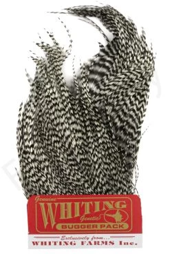 Whiting Bugger Pack 24 Whiting Bugger Pack -Fishing Equipment Shop Whiting Bugger Pack WH91871 XXX whiting bugger pack wh91871 xxx dsc02559 bewerkt