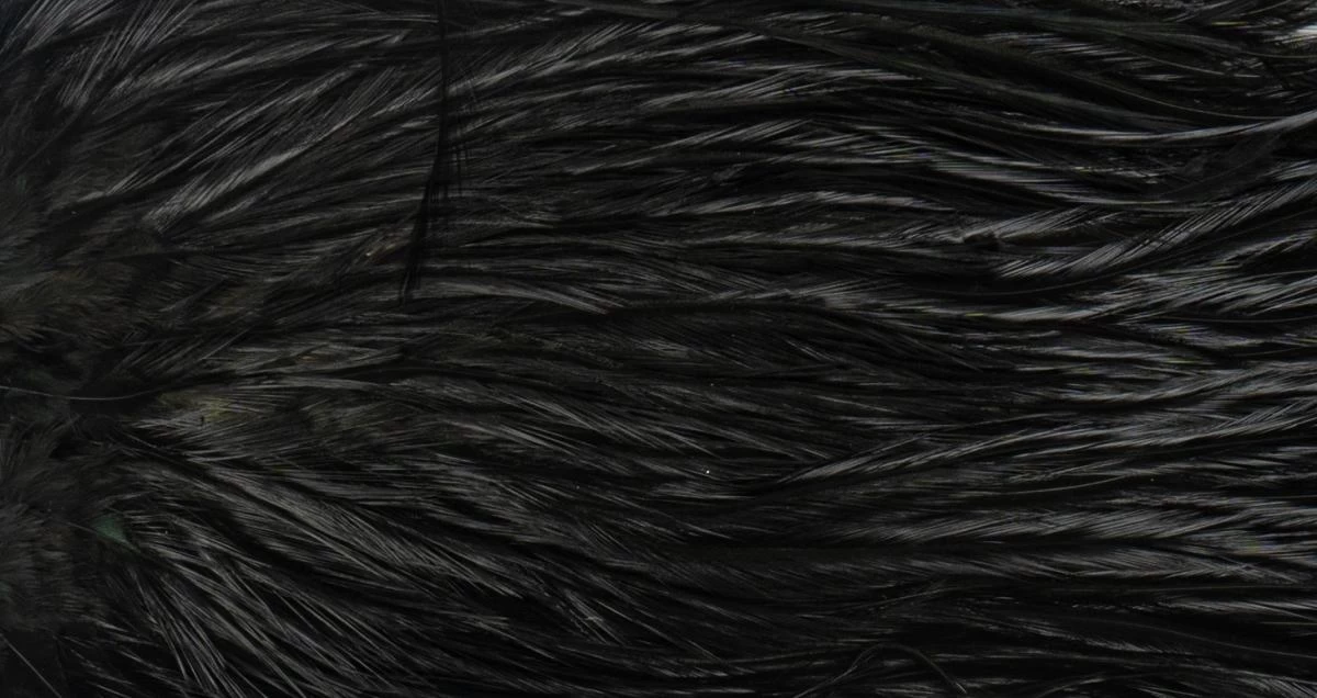 Whiting Coq De Leon Saddle Silver 5 Whiting Coq De Leon Saddle Silver - Image 5