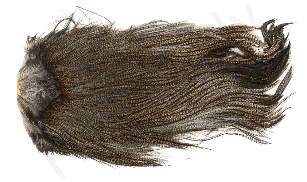 Whiting Coq De Leon Saddle Silver 8 Whiting Coq De Leon Saddle Silver - Image 8