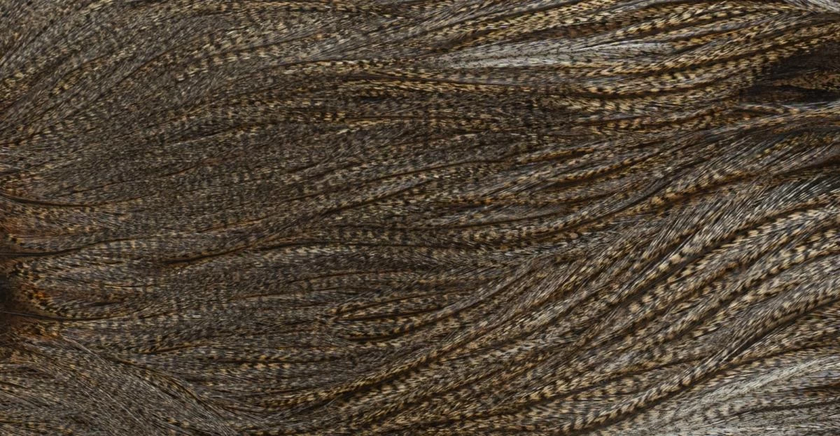 Whiting Coq De Leon Saddle Silver 9 Whiting Coq De Leon Saddle Silver - Image 9