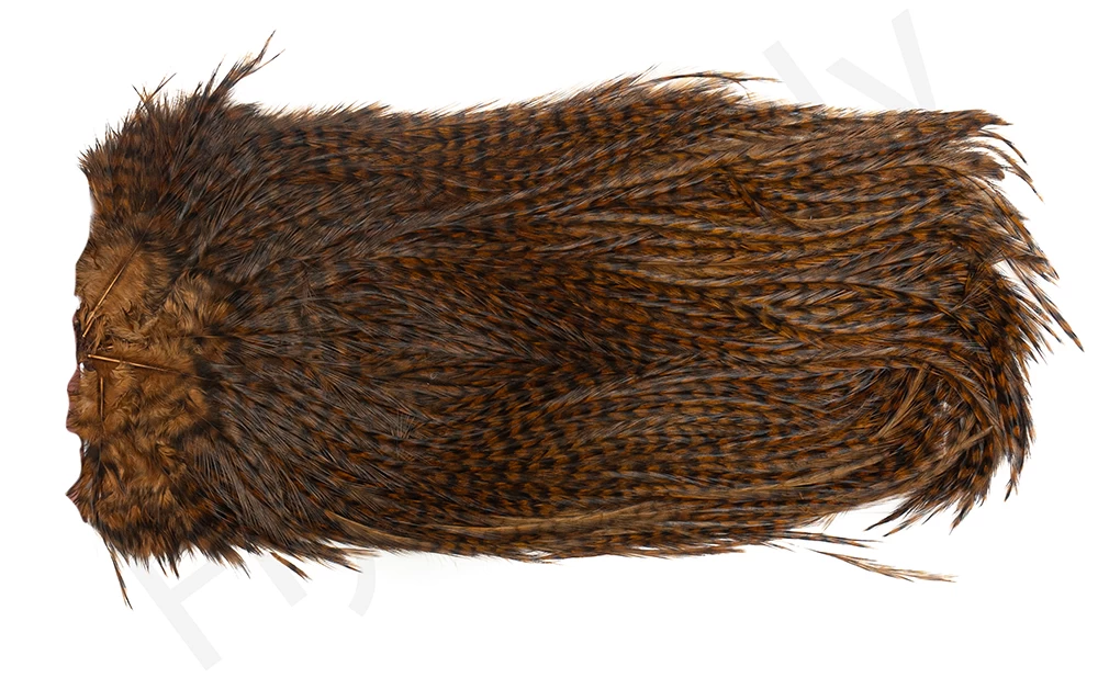 Whiting Coq De Leon Saddle Silver 12 Whiting Coq De Leon Saddle Silver - Image 12