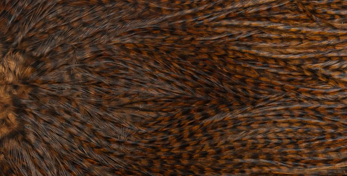 Whiting Coq De Leon Saddle Silver 11 Whiting Coq De Leon Saddle Silver - Image 11