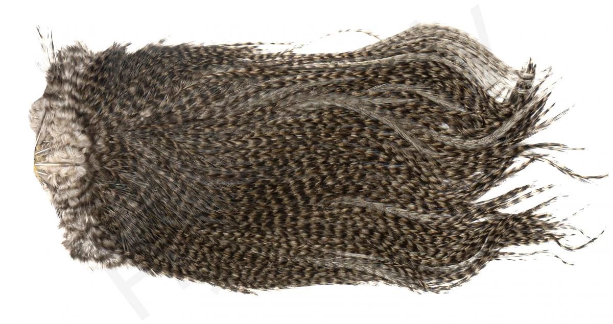 Whiting Coq De Leon Saddle Silver 10 Whiting Coq De Leon Saddle Silver - Image 10