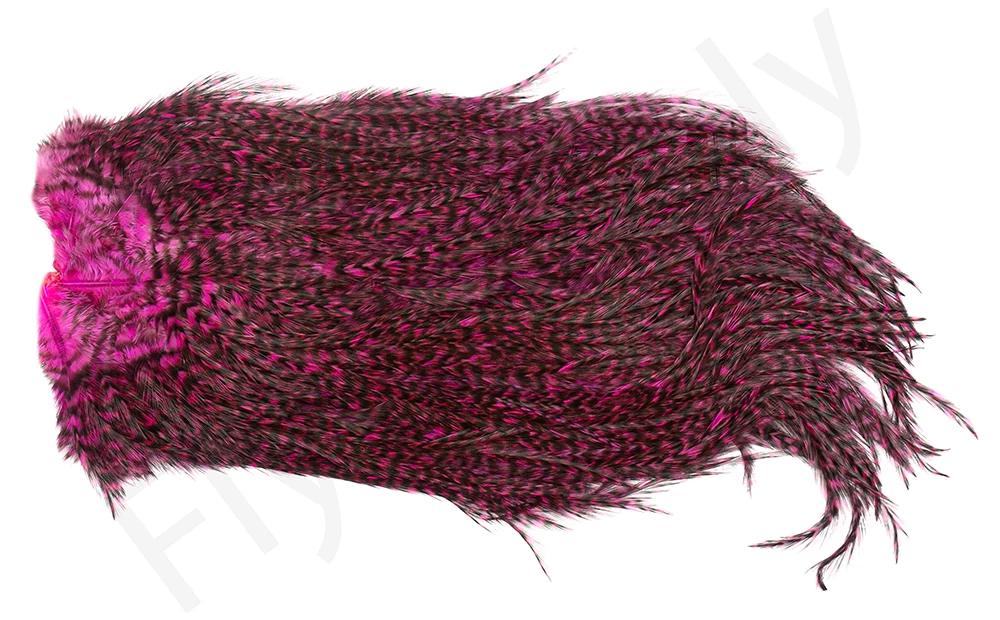 Whiting Coq De Leon Saddle Silver 20 Whiting Coq De Leon Saddle Silver - Image 20