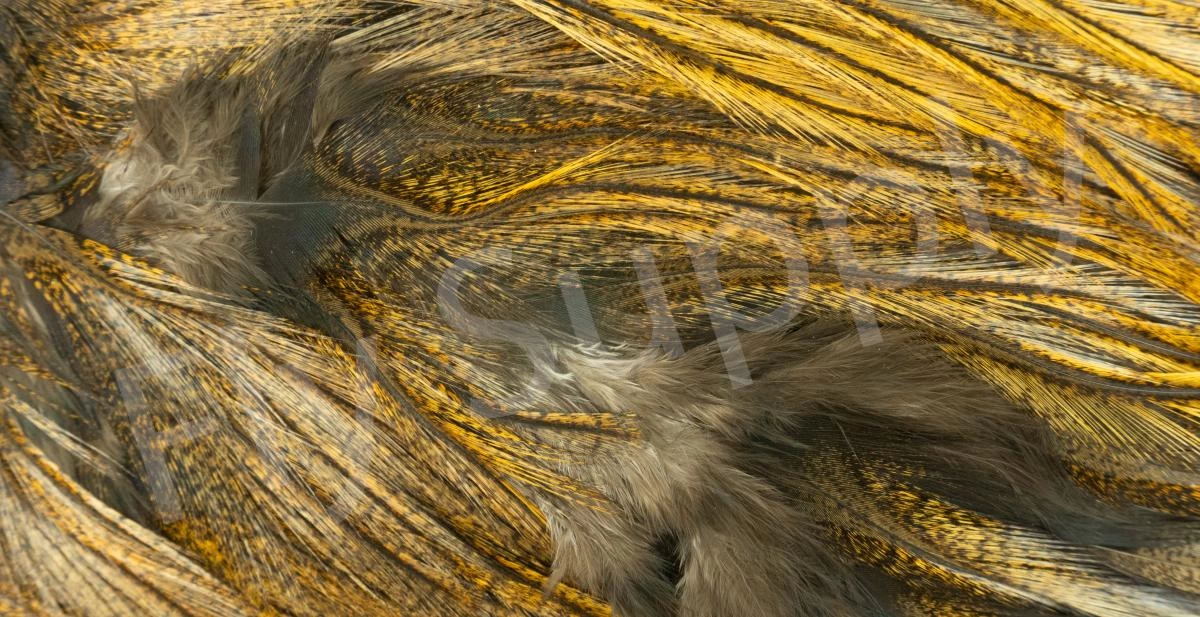 Whiting Coq De Leon Saddle Silver 7 Whiting Coq De Leon Saddle Silver - Image 7