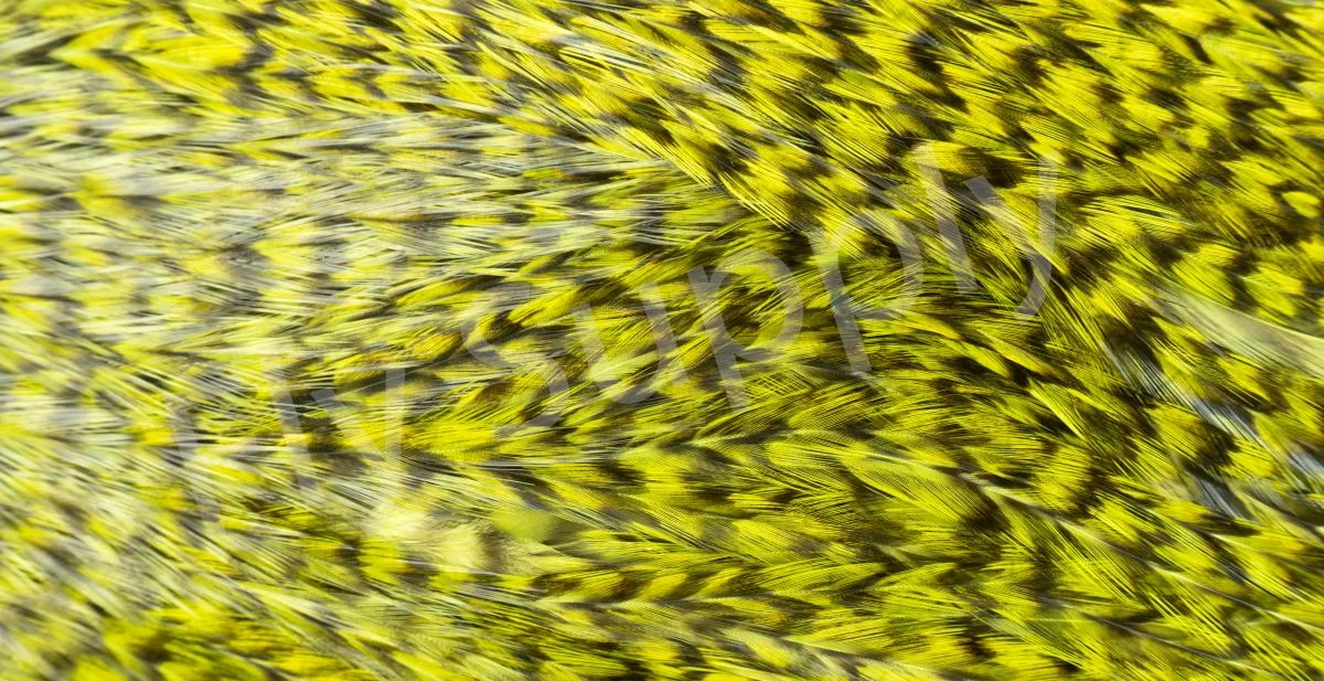 Whiting Coq De Leon Saddle Silver 15 Whiting Coq De Leon Saddle Silver - Image 15