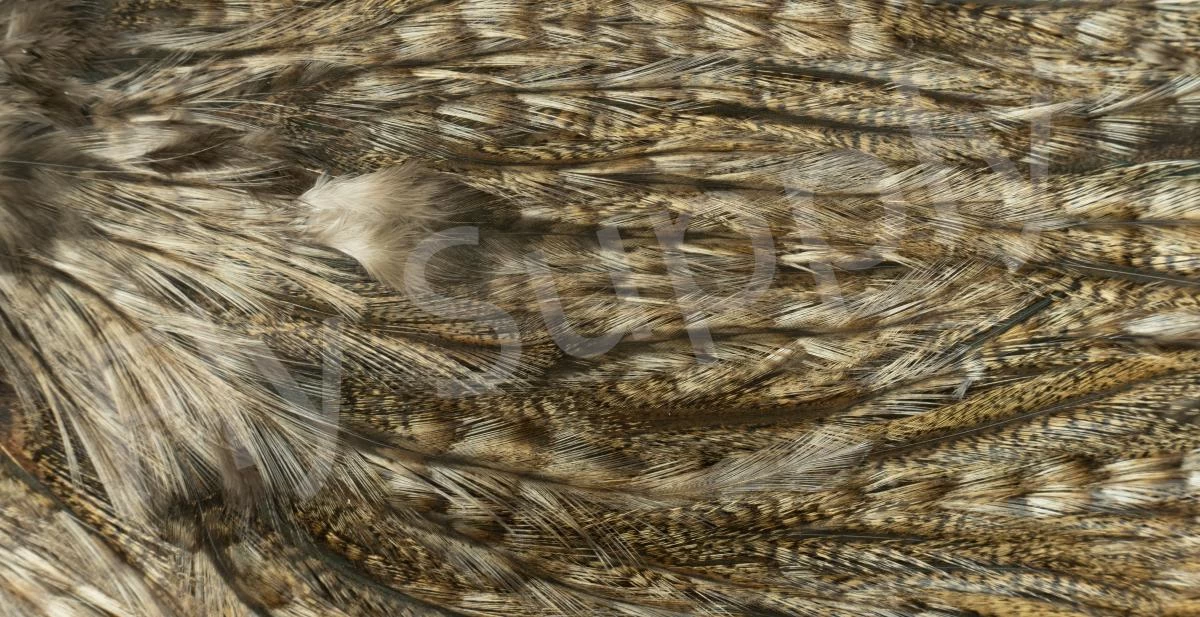 Whiting Coq De Leon Saddle Silver 17 Whiting Coq De Leon Saddle Silver - Image 17