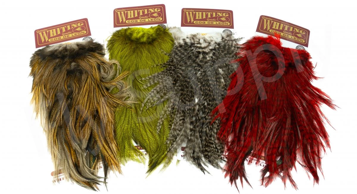 Whiting Coq De Leon Saddle Silver 1 Whiting Coq De Leon Saddle Silver