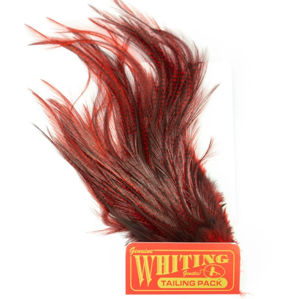 Whiting Coq De Leon Euro Nymph Tailing Pack 5 Whiting Coq De Leon Euro Nymph Tailing Pack - Image 5