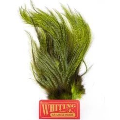 Whiting Coq De Leon Euro Nymph Tailing Pack 11 Whiting Coq De Leon Euro Nymph Tailing Pack -Fishing Equipment Shop Whiting Coq de Leon Euro Nymph Tailing Pack WHIT CDLNYTAILPACK XXX img 6246 1