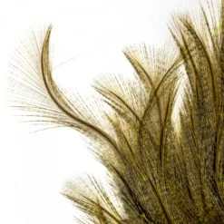 Whiting Coq De Leon Euro Nymph Tailing Pack 16 Whiting Coq De Leon Euro Nymph Tailing Pack -Fishing Equipment Shop Whiting Coq de Leon Euro Nymph Tailing Pack WHIT CDLNYTAILPACK XXX img 6253 1