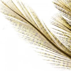 Whiting Coq De Leon Euro Nymph Tailing Pack 17 Whiting Coq De Leon Euro Nymph Tailing Pack -Fishing Equipment Shop Whiting Coq de Leon Euro Nymph Tailing Pack WHIT CDLNYTAILPACK XXX img 6254 1