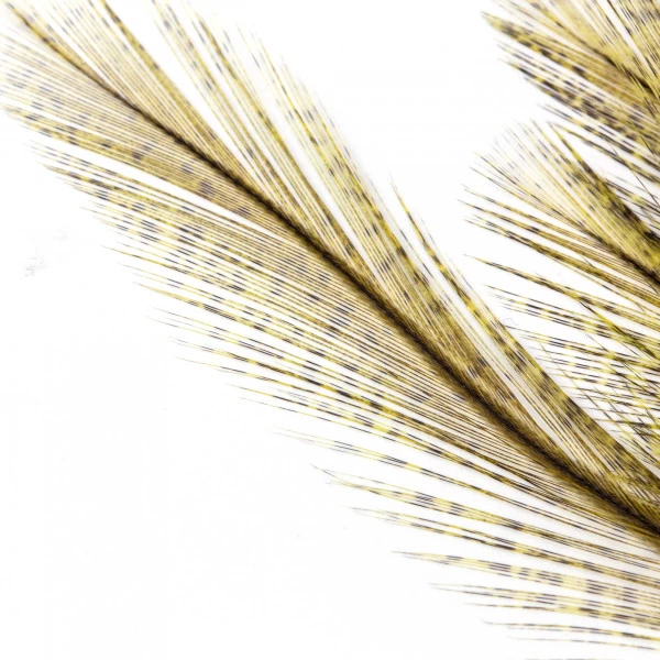 Whiting Coq De Leon Euro Nymph Tailing Pack 9 Whiting Coq De Leon Euro Nymph Tailing Pack - Image 9