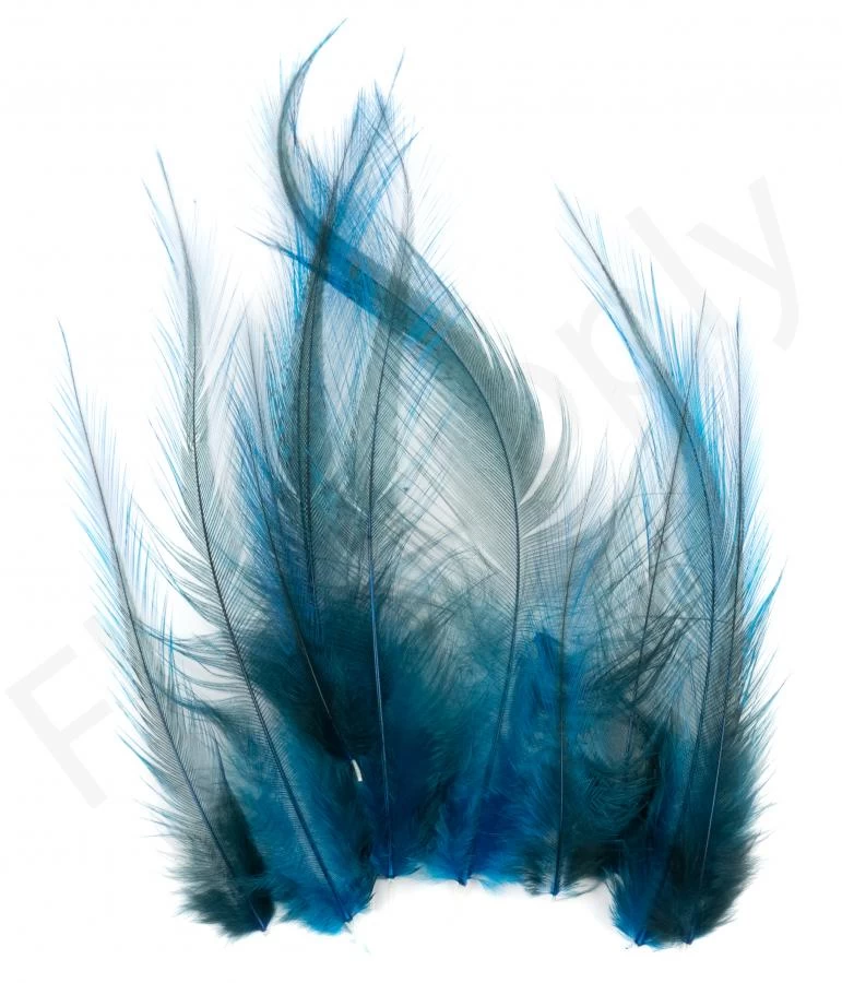 Whiting Coq De Leon Feathers 12 Pc Select 7 Whiting Coq De Leon Feathers 12 Pc Select - Image 7