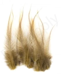 Whiting Coq De Leon Feathers 12 Pc Select 15 Whiting Coq De Leon Feathers 12 Pc Select -Fishing Equipment Shop Whiting Coq de Leon Feathers 12 pc Select COQDL X dsc03269