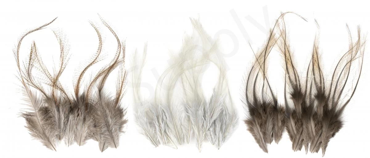 Whiting Coq De Leon Feathers 12 Pc Select 2 Whiting Coq De Leon Feathers 12 Pc Select - Image 2