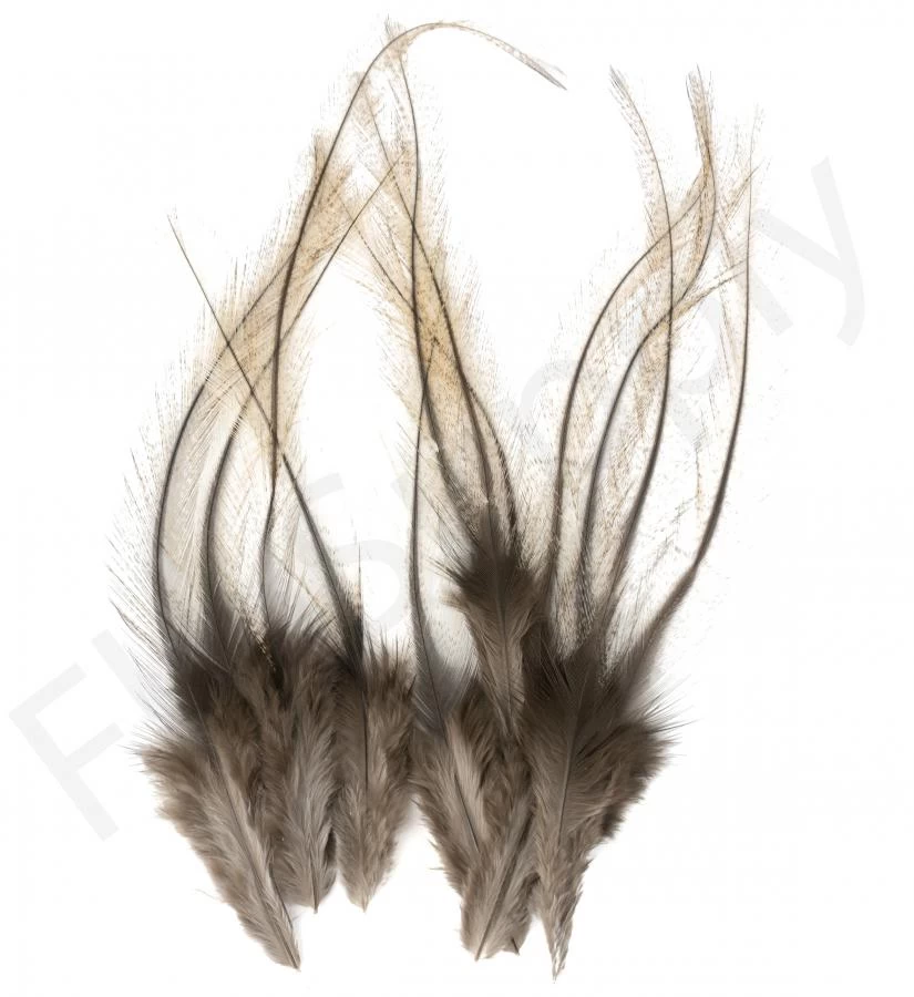 Whiting Coq De Leon Feathers 12 Pc Select 3 Whiting Coq De Leon Feathers 12 Pc Select - Image 3
