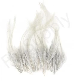 Whiting Coq De Leon Feathers 12 Pc Select 12 Whiting Coq De Leon Feathers 12 Pc Select -Fishing Equipment Shop Whiting Coq de Leon Feathers 12 pc Select COQDL X dsc08404 bewerkt