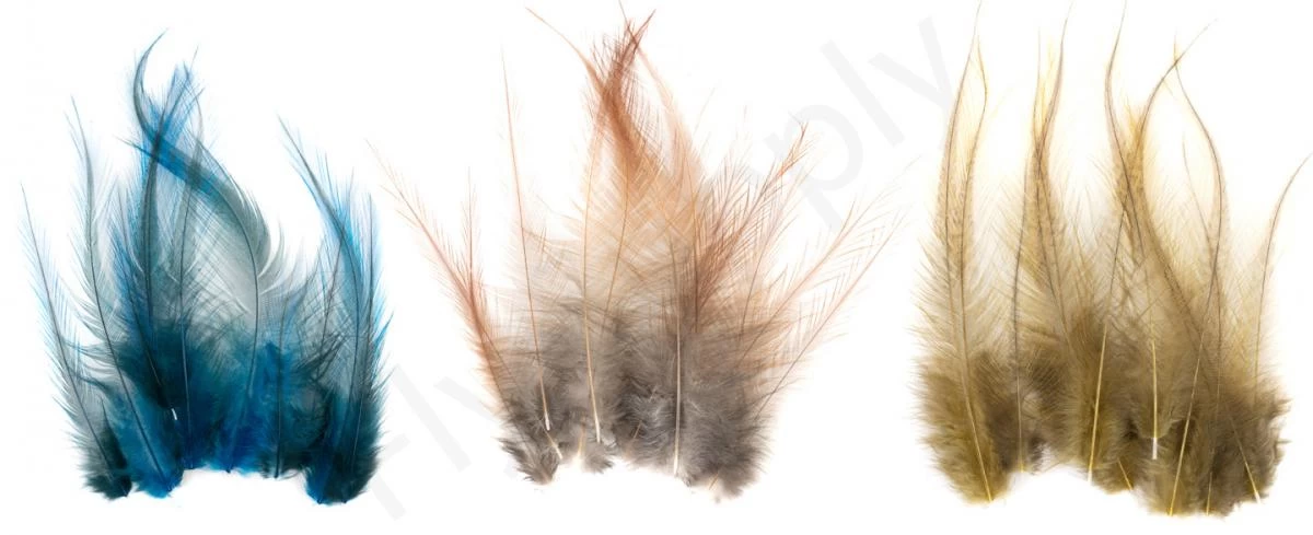 Whiting Coq De Leon Feathers 12 Pc Select 1 Whiting Coq De Leon Feathers 12 Pc Select