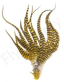 Whiting Grizzly Schlappen Feathers Long -Fishing Equipment Shop Whiting Grizzly Schlappen Feathers Long WHIT SCHLAPBUND grizzly golden