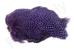 Whiting Guinea Fowl Breast -Fishing Equipment Shop Whiting Guinea Fowl Breast WH28833 XXX dsc09904