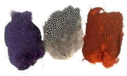 Whiting Guinea Fowl Breast