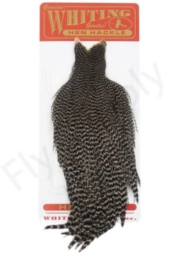 Whiting Hen Cape -Fishing Equipment Shop Whiting Hen Cape WHIT HENCAPE XX dsc03920 bewerkt