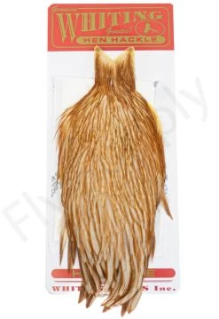 Whiting Hen Cape -Fishing Equipment Shop Whiting Hen Cape WHIT HENCAPE XX dsc03927 bewerkt