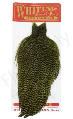 Whiting Hen Cape -Fishing Equipment Shop Whiting Hen Cape WHIT HENCAPE XX dsc03928 bewerkt