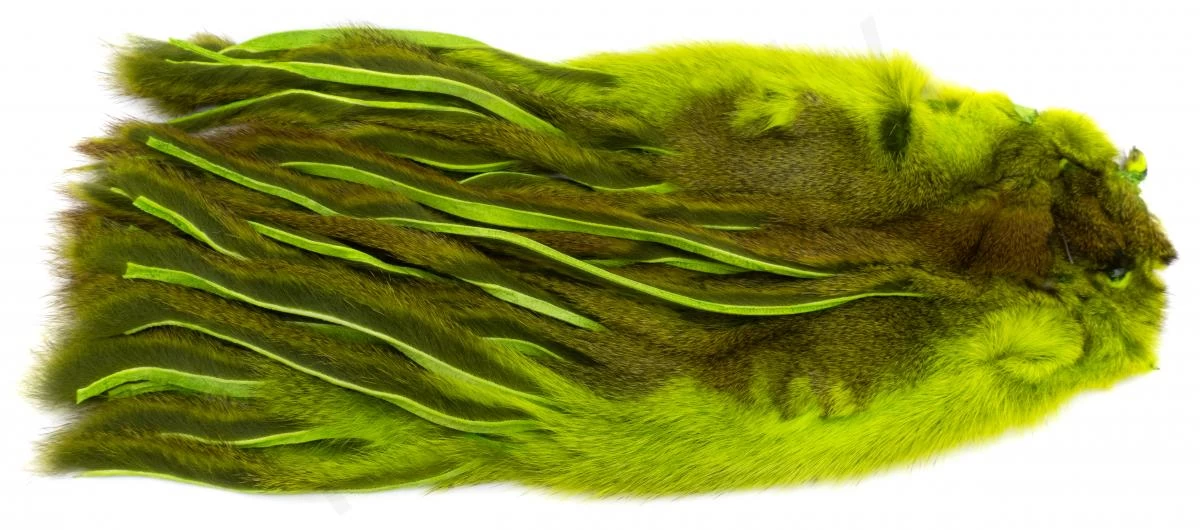 Whole Pine Squirrel Skin Zonked 6 Whole Pine Squirrel Skin Zonked - Image 6