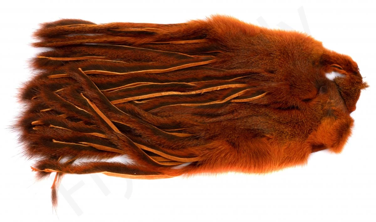 Whole Pine Squirrel Skin Zonked 2 Whole Pine Squirrel Skin Zonked - Image 2