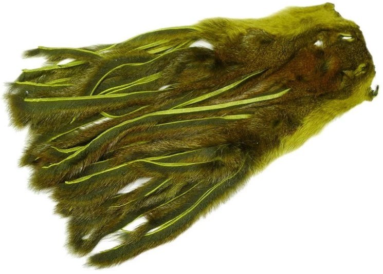 Whole Pine Squirrel Skin Zonked 1 Whole Pine Squirrel Skin Zonked