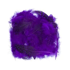 Guinea Body Feathers