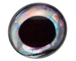 3D Epoxy Fish Eyes Tuna -Fishing Equipment Shop holographictuna3depoxy1 2