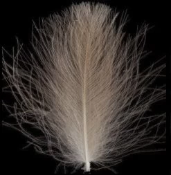 Swiss CDC Ultra Select XL Feathers -Fishing Equipment Shop swisscdclightbrown